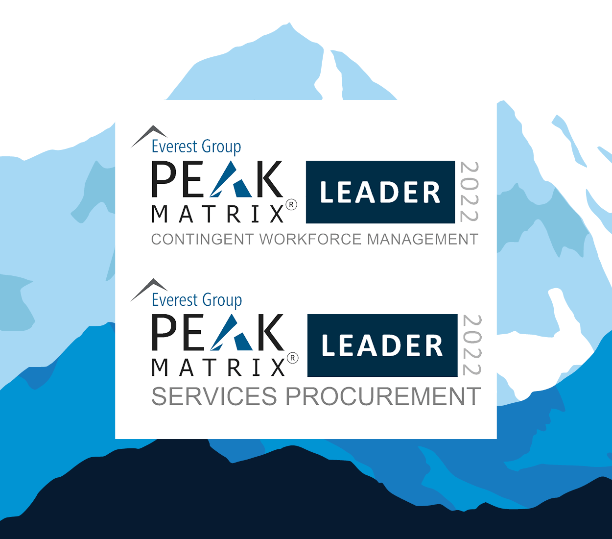 Everest Group PEAK MATRIX LEADER 2022