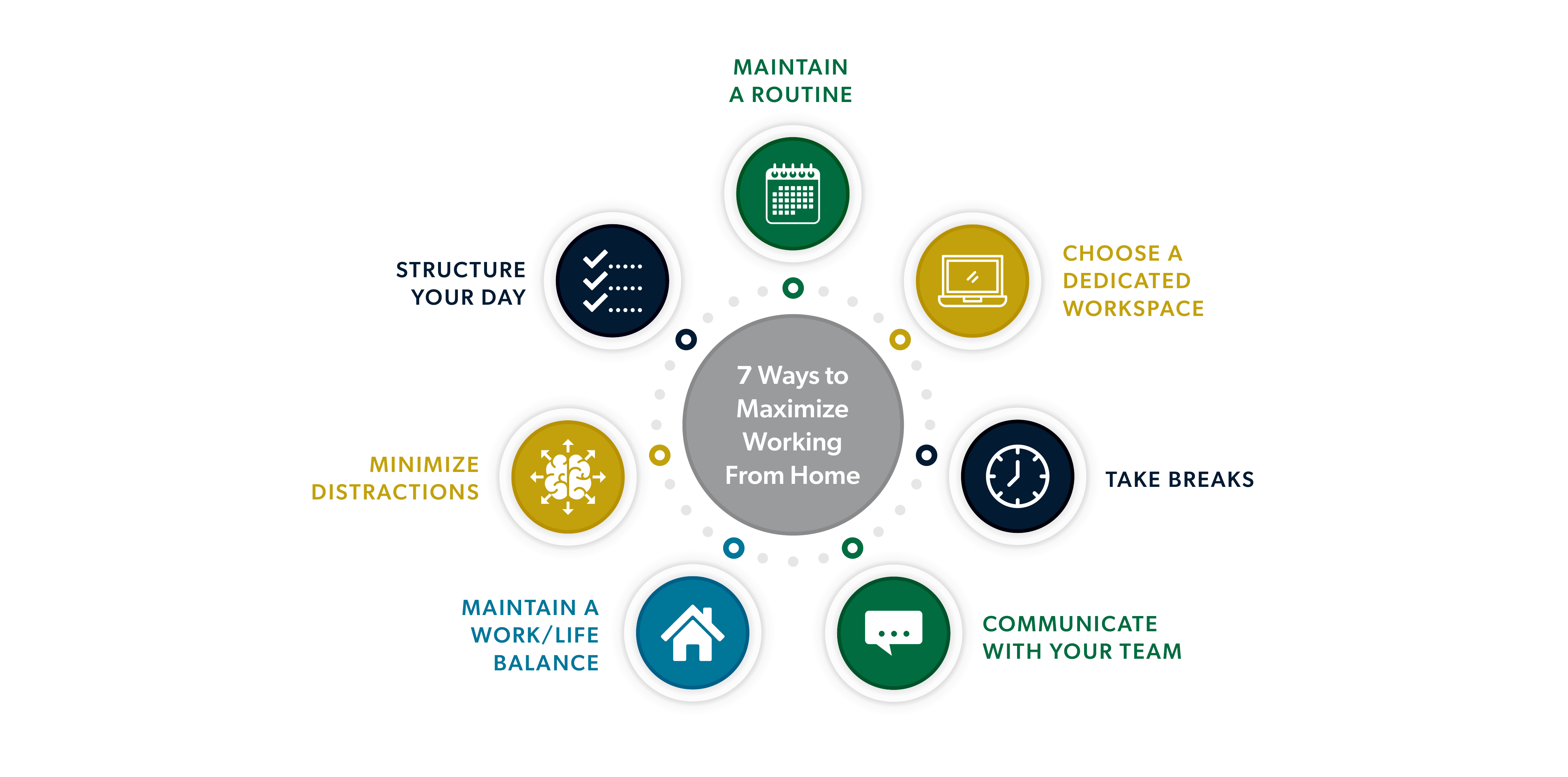 Graphical representation of the information in the article