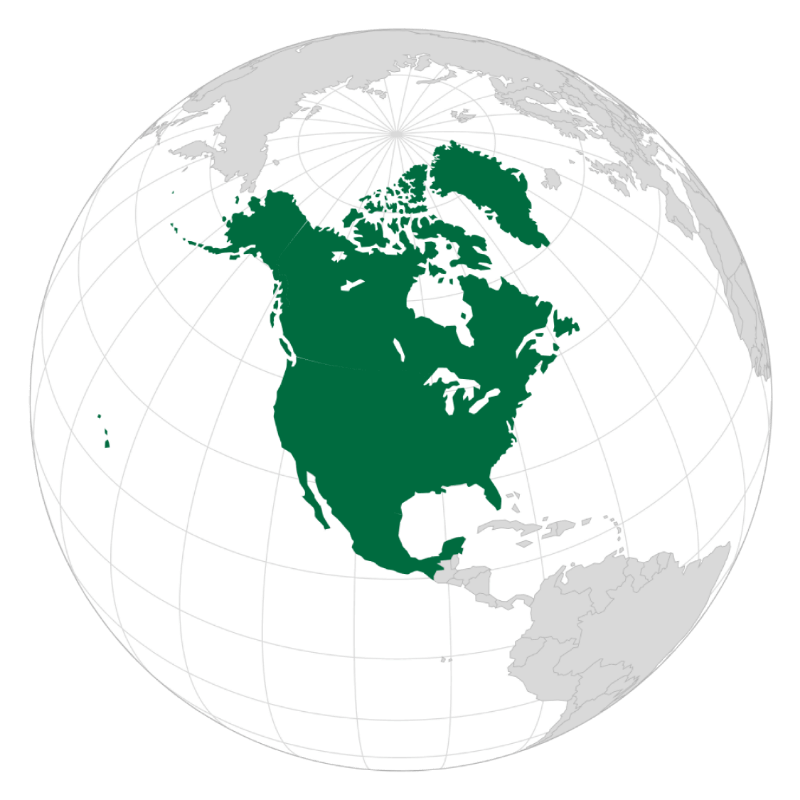 North American globe graphic
