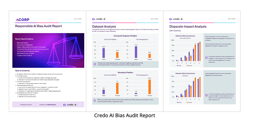 Credo AI Bias Audit Report